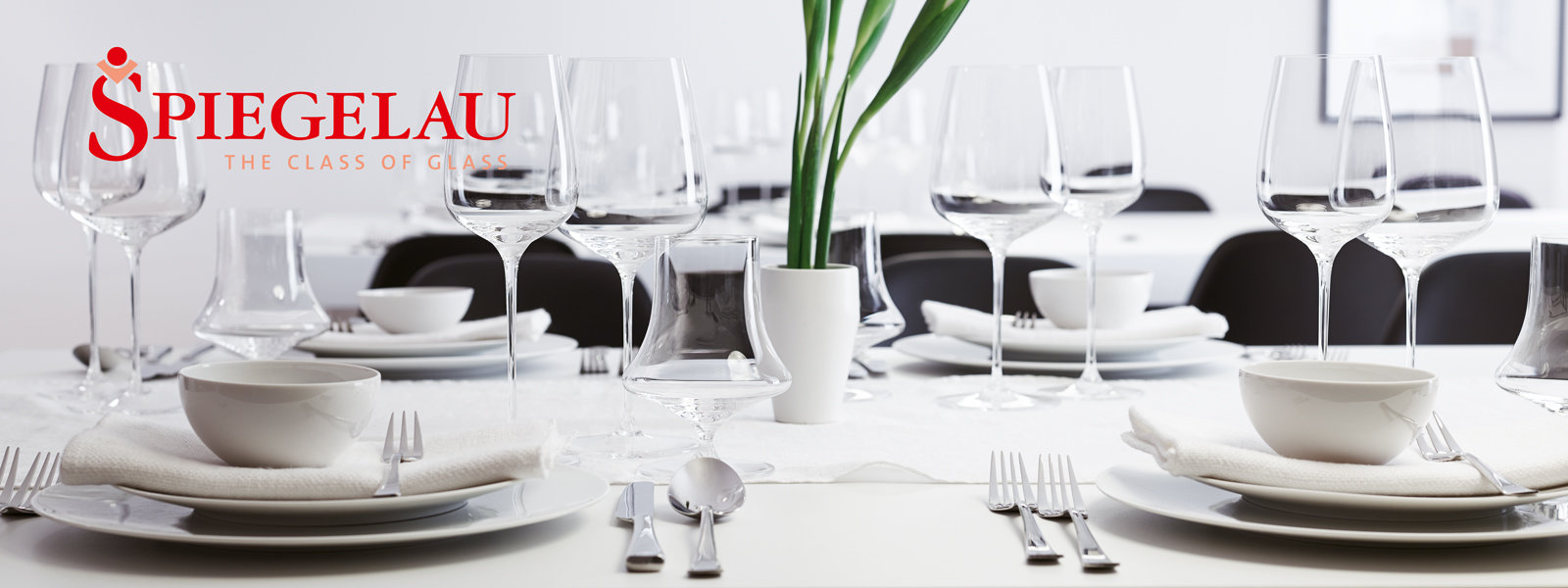 Spiegelau | Wayfair Spiegelau | Wayfair